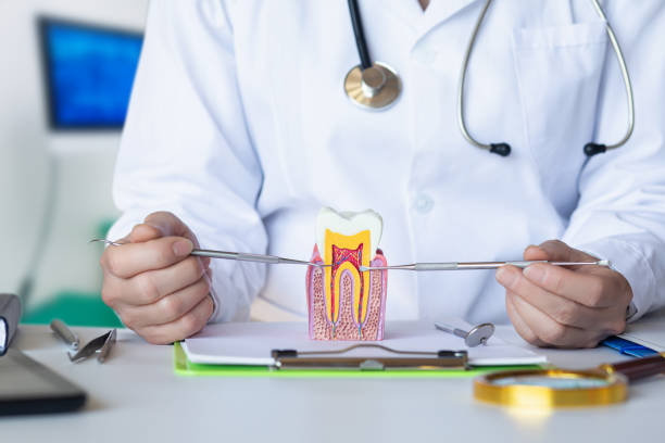 Best Emergency Orthodontic Repairs in Winston, OR